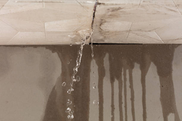 Professional Sewage Cleanup technician working in Hutto, TX